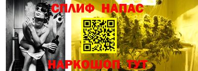 сатива Тула