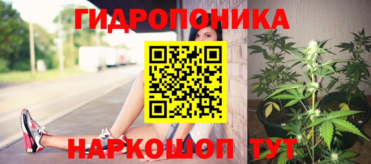 Бошки Шишки MAZAR  Вход с VPN  Ногинск  Шишки марихуана OG Kush  МАРИХУАНА Ganja 